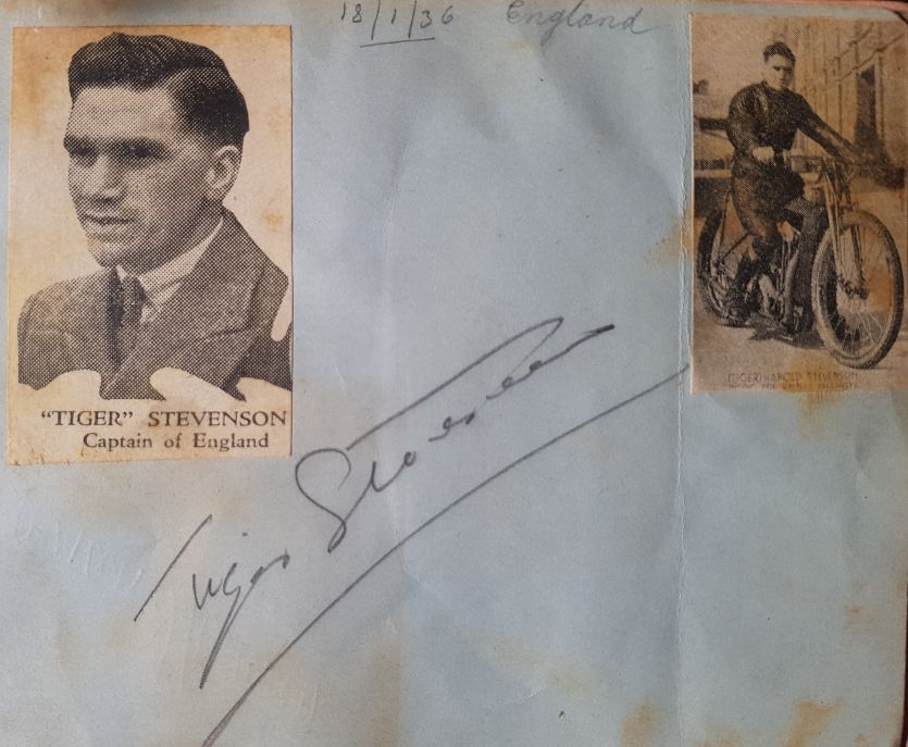 Tiger Stevenson